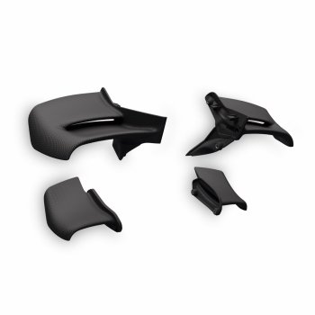 Ducati Winglets aus Kohlefaser /Streetfighter V4 2025/26